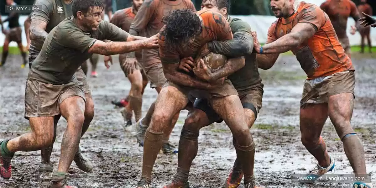 🌍全球赛事,与你同频心跳!🌟